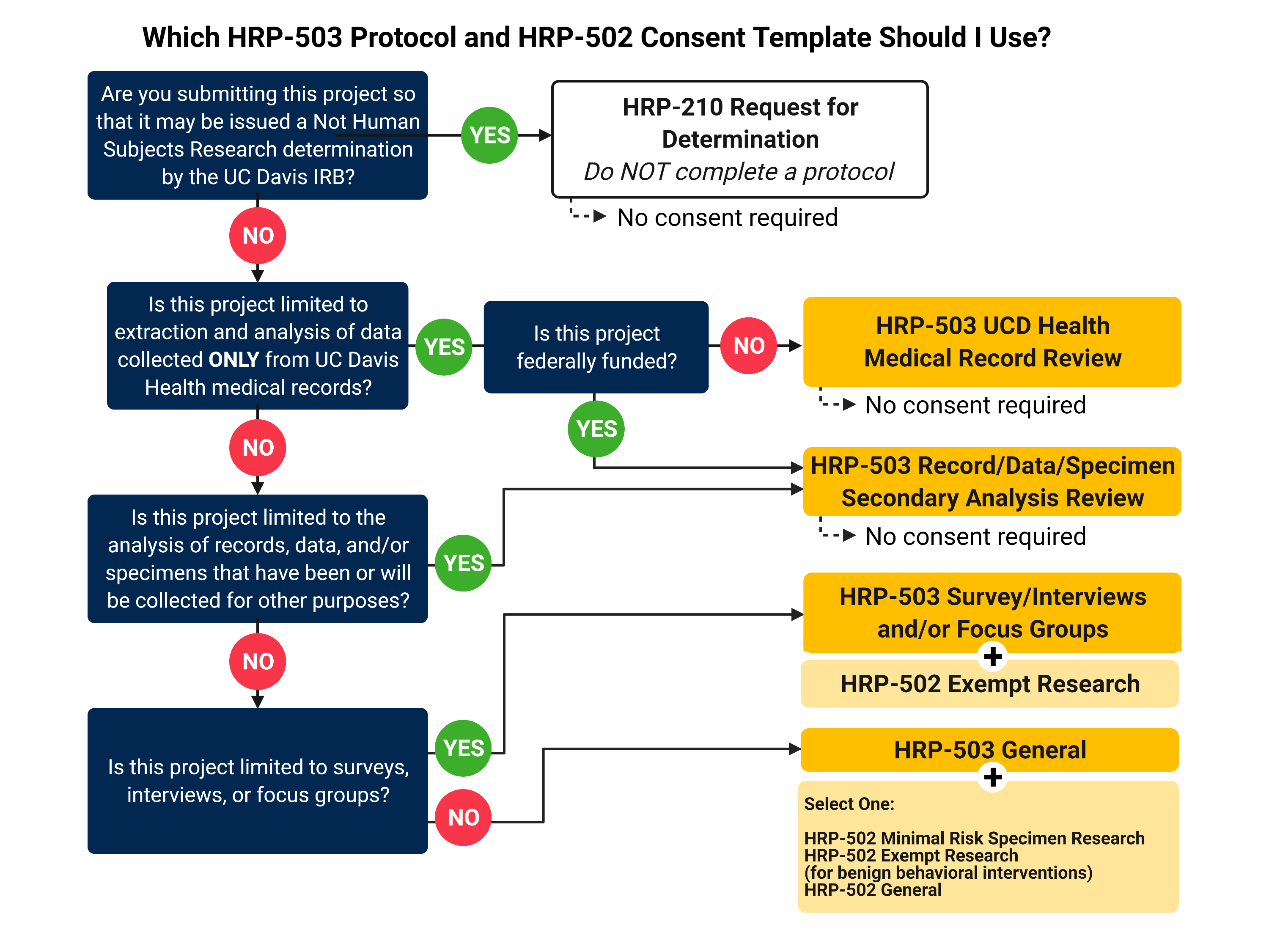 Protocol and consent template decision tree